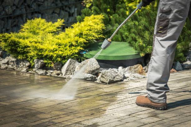 Best Dumpster Area Cleaning  in Pollock Pines, CA